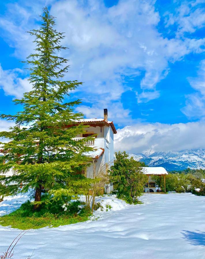 Villa Vasiliki Paliouras Eksteriør billede