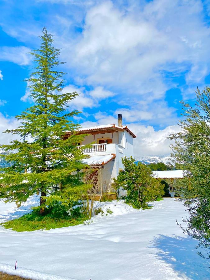 Villa Vasiliki Paliouras Eksteriør billede