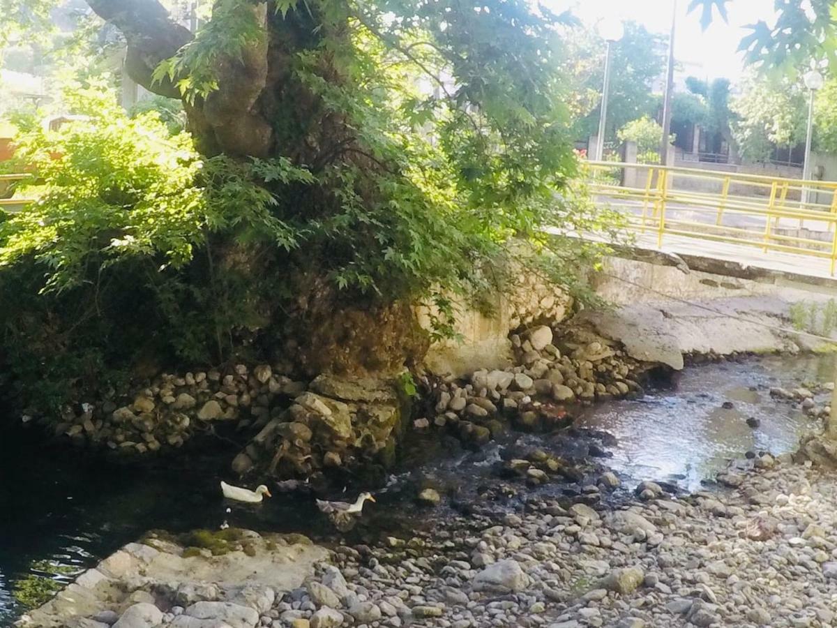 Villa Vasiliki Paliouras Eksteriør billede