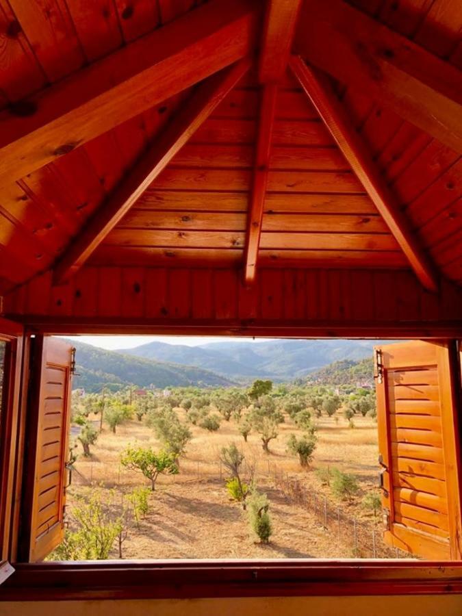 Villa Vasiliki Paliouras Eksteriør billede